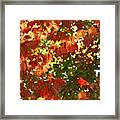 Surrounded By Fall In Ne Framed Print