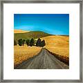 Surrounded By Wheat Framed Print