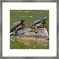 Surveying Their Domain Framed Print