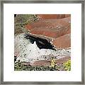 Sw27 Southwest Framed Print