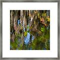 Swamp Colors Framed Print