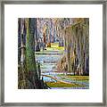 Swamp Curtains In February Framed Print