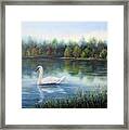 Swan Lake Framed Print