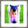 Swan Supermodel!
#swan #swans Framed Print