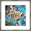 Sweet Cherry Blossoms - Central Park In Spring Framed Print