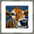 Sweet Jersey Cow Framed Print