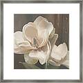Sweet Magnolia Blossom Framed Print