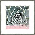 Sweet Pink Paint On Succulent Framed Print