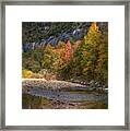 Sweetgums At Steel Creek Framed Print