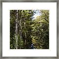 Sweetwater Strand - 10 Framed Print