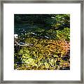 Swimming In The Buley Rockhole Waterfalls Framed Print