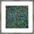 Swimming Upstream Framed Print