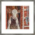 Swiss Calf Framed Print