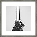 Sword And Rose Framed Print