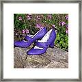 Syd's New Shoes Framed Print