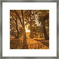 Sylvan Meadows Sunset Framed Print