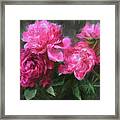 Symphony In Pink Framed Print