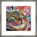 Tabby Cat Color Blast Framed Print