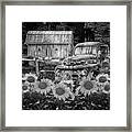 Take Us For A Ride In The Sunflower Patch Black And White Framed Print