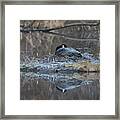 Taking A Rest Framed Print