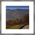 Taking A Walk Down Sparks Lane Framed Print