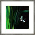 Taking Flight Framed Print