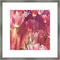Tall Tulips Framed Print