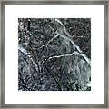 Tangled Forest Framed Print