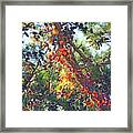 Tanglewood Autumn Flora Framed Print