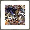 Tango Birds Framed Print