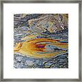 Tar Pit's Beauty Ii Framed Print