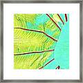 Taro Leaf In Turquoise - The Other Side Framed Print