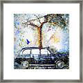 Taxi Tree Framed Print