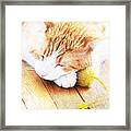 Teddy And His Toy Framed Print
