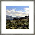 Telluride Mountain Herd Framed Print