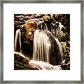 Temperate Highland Water Fall Framed Print