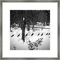 Ten Turkey Stroll On A Thursday, Two Were Out Of Line Framed Print