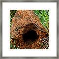 Termite Mound In Brazil Framed Print