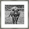 Texas Cowboy Collection Framed Print