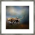 Texas Longhorn Pair Framed Print