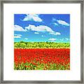 Texas Red Poppies Framed Print