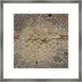 Textural Antiquities Herculaneum Wall Three Framed Print