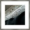 Textureflow Framed Print