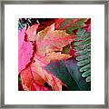 Textures Of Nature Framed Print