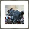 Tgif For This Squirrel Framed Print