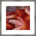 Thanksgiving Hawaiian Octopus Framed Print