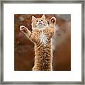 That Mouse Was This Big -red Haired Kitten Framed Print