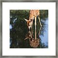 That Must Be Me Framed Print