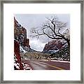 That Tree In Zion Framed Print