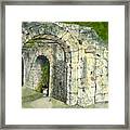 The Alamo Framed Print